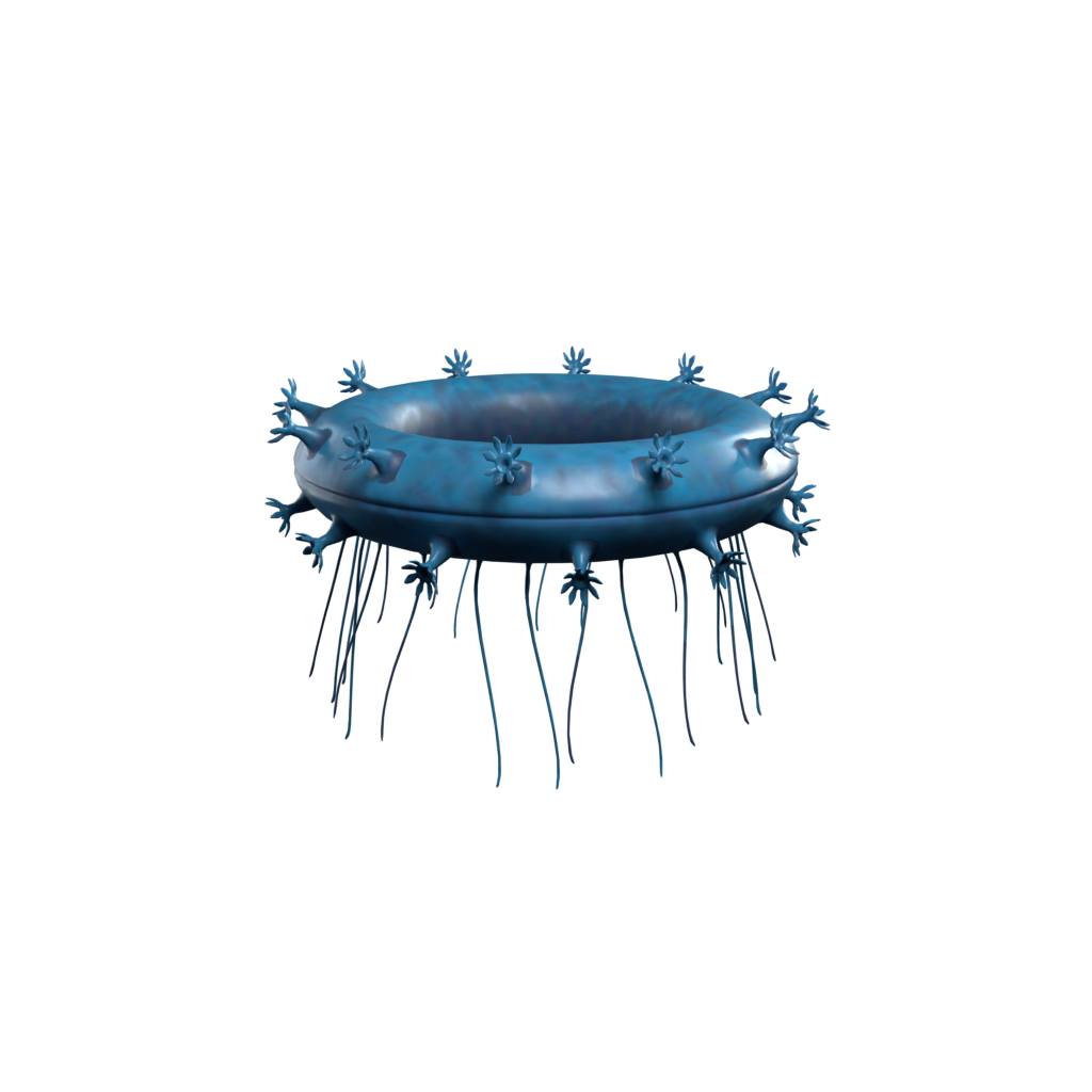 Jelly Ring
