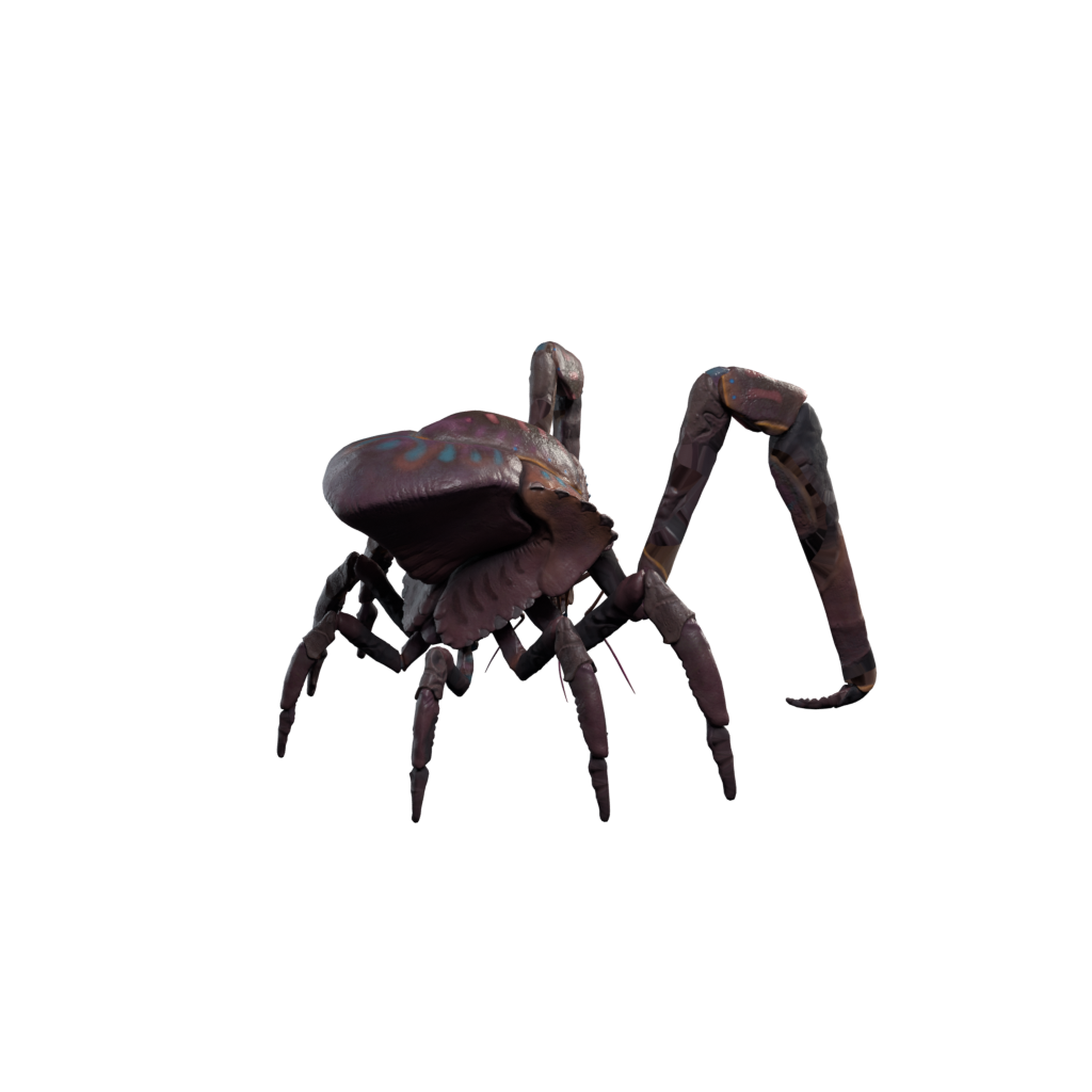 Coral Crab