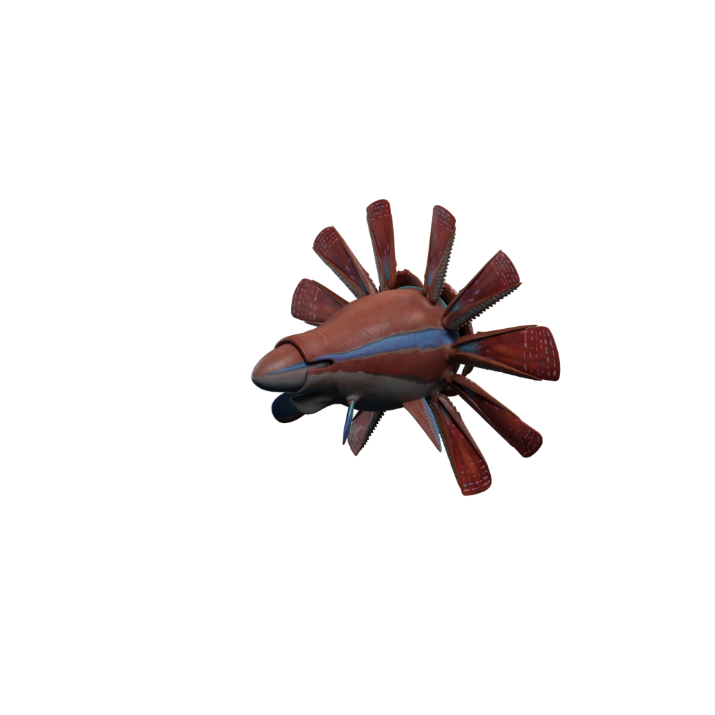 Hammerhead