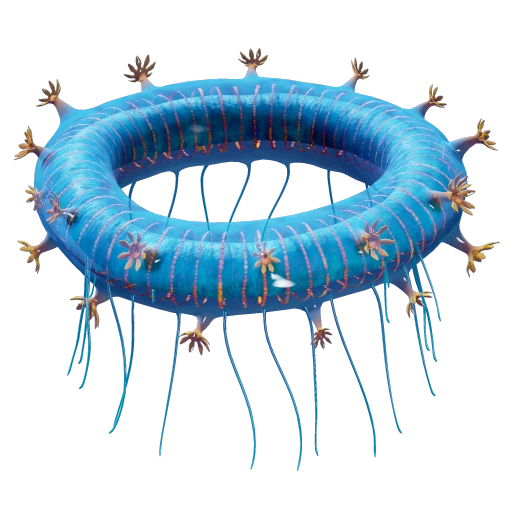 Jelly Ring