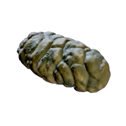 Crab Feces